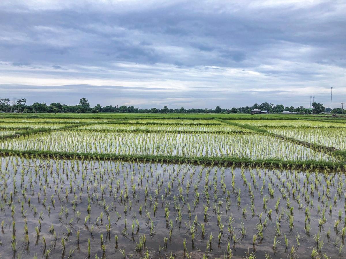 Home At 9 San Klang エクステリア 写真